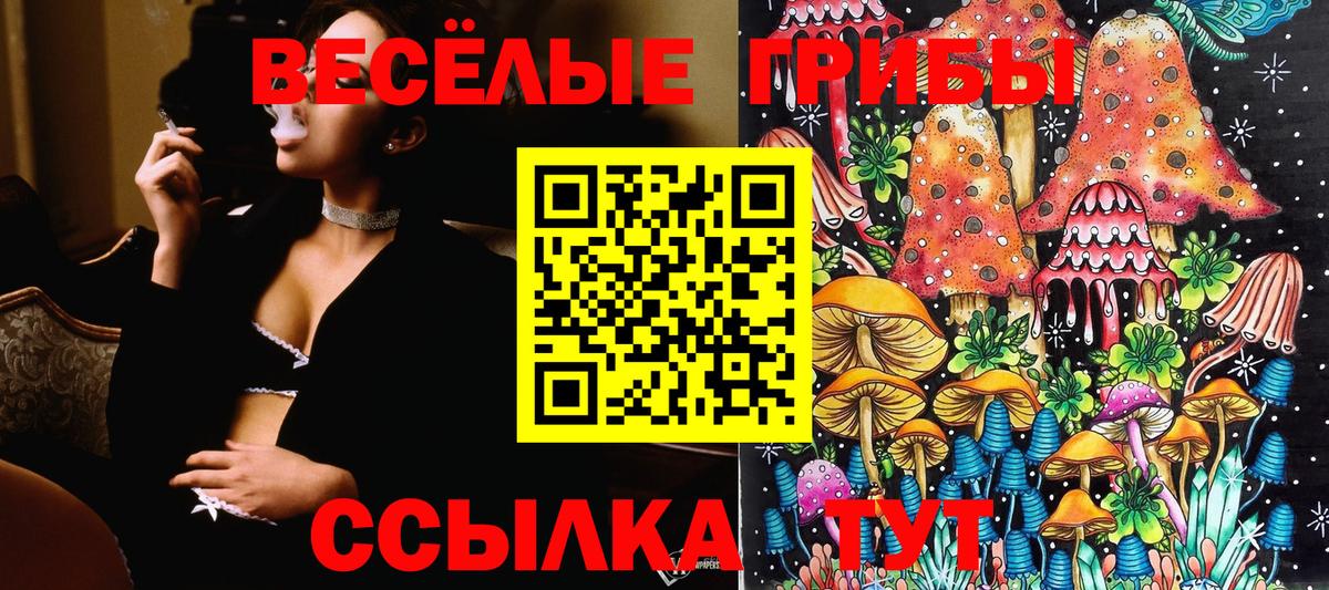 Галлюциногенные грибы прущие грибы  Галлюциногенные грибы мицелий  Борисоглебск  Вход с VPN 