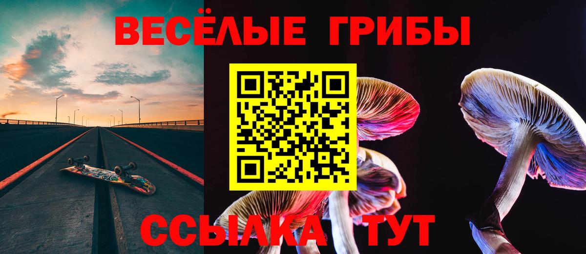 Псилоцибиновые грибы мицелий Борисоглебск